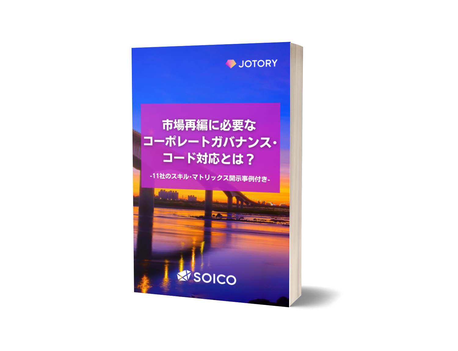 資本政策資料　3点セット