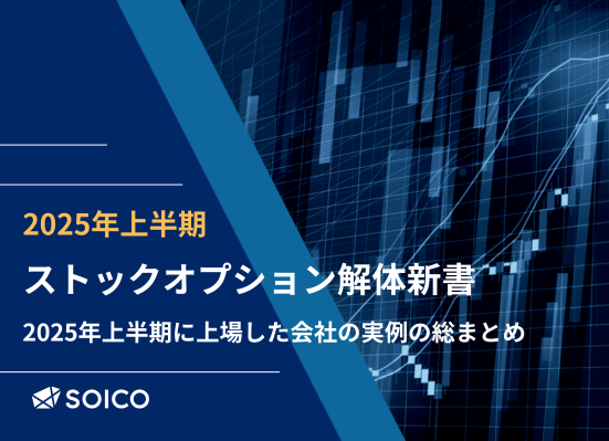 【2025年上半期】ストックオプションに係る課税関係の変更点について